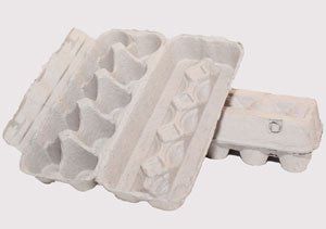 Прокладка (коробка) бугорчатая для упаковки яиц на 10 шт (яйцебокс на 10 яиц) Прокладка (коробка) бугорчатая для упаковки яиц на 10 шт (яйцебокс на 10 яиц)